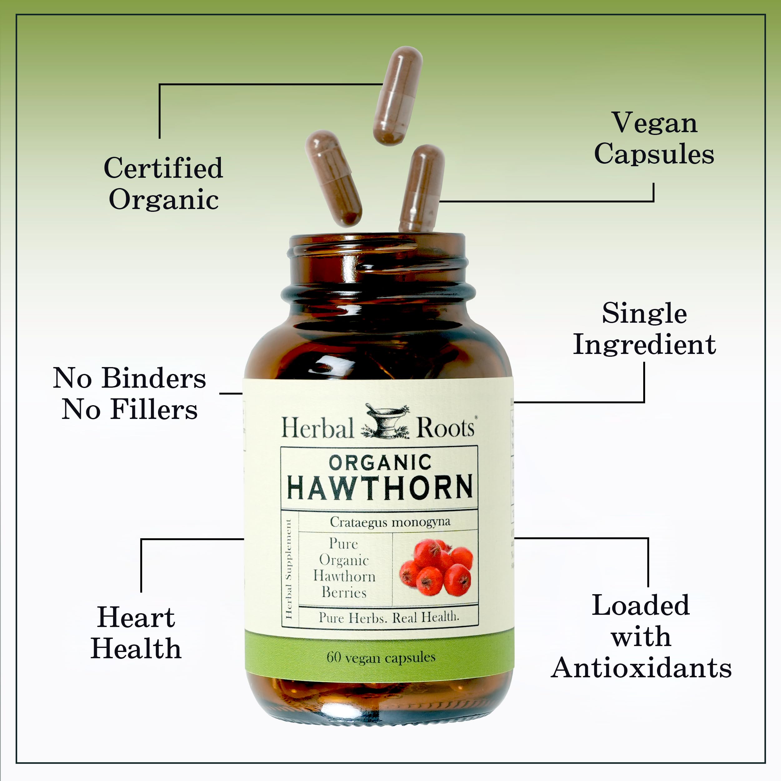 Herbal Roots Organic Hawthorn Berry Capsules – Extra Strength 1,200mg per Serving | 60 Vegan Capsules