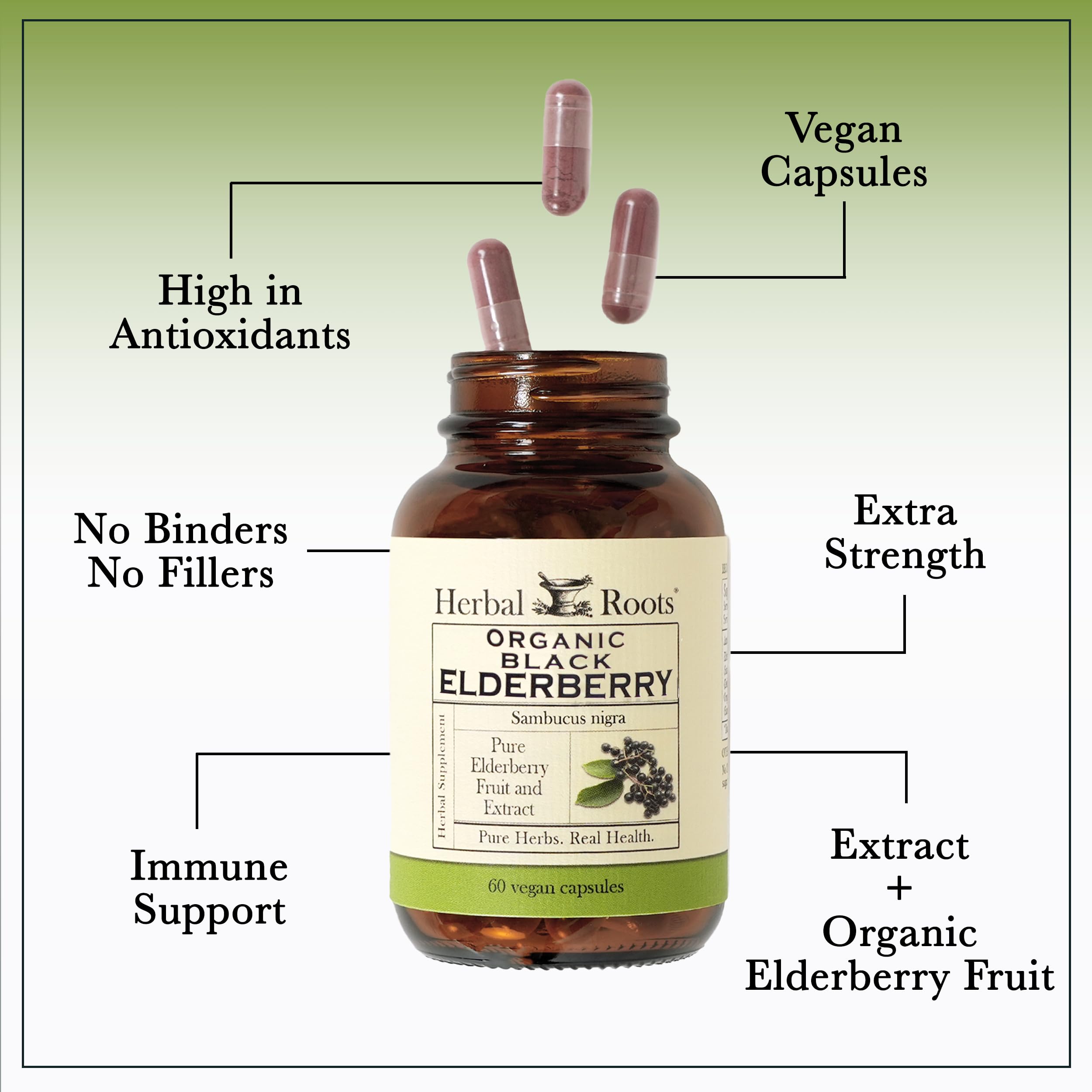 Herbal Roots Organic Black Elderberry Capsules - Max Strength | 60 Vegan Capsules