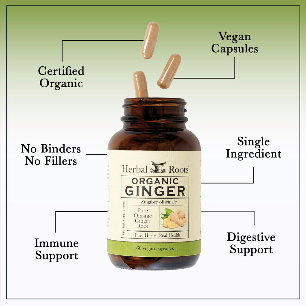 Herbal Roots Ginger Supplement | Organic Ginger Root Capsules | 1,200 mg per Serving