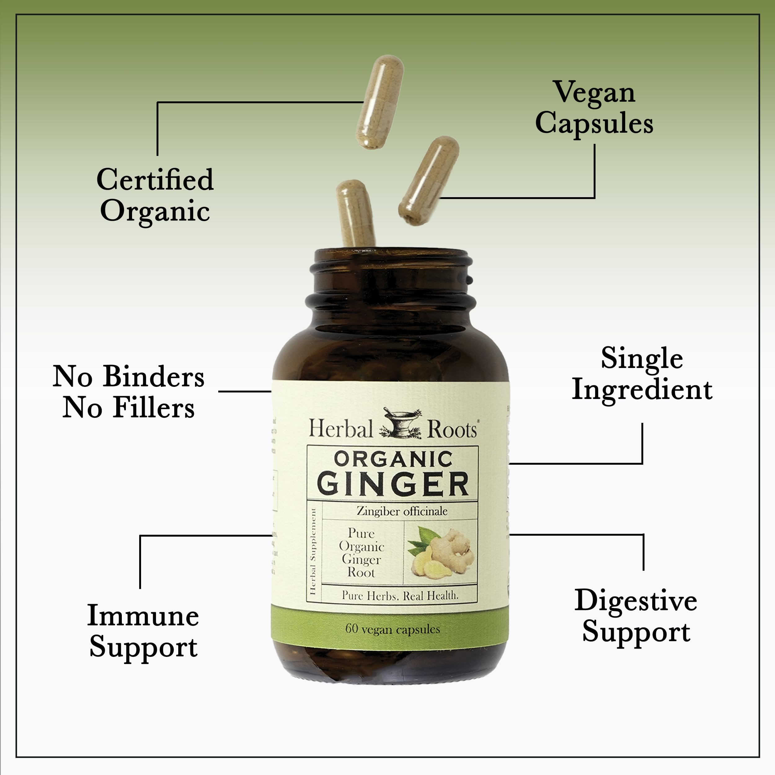 Herbal Roots Ginger Supplement | Organic Ginger Root Capsules | 1,200 mg per Serving