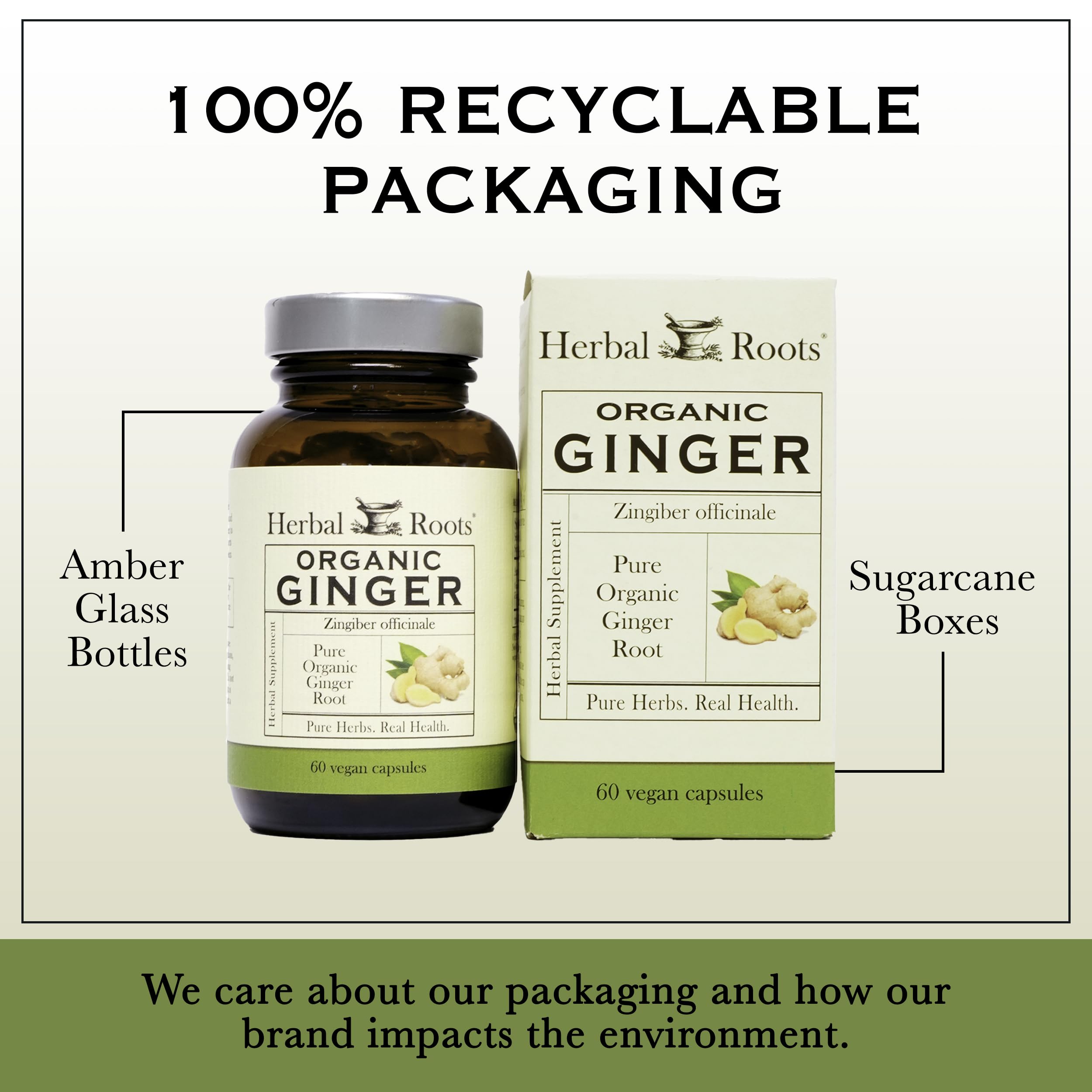 Herbal Roots Ginger Supplement | Organic Ginger Root Capsules | 1,200 mg per Serving