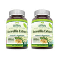 Herbal Secrets Boswellia Serrata Extract 600 mg – 65% Boswellic Acids | Non-GMO, Gluten Free | 2 Pack