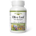 HerbalFactors by Natural Factors - Olive Leaf 500 mg | Natural Wellness Formula | 90 Capsules