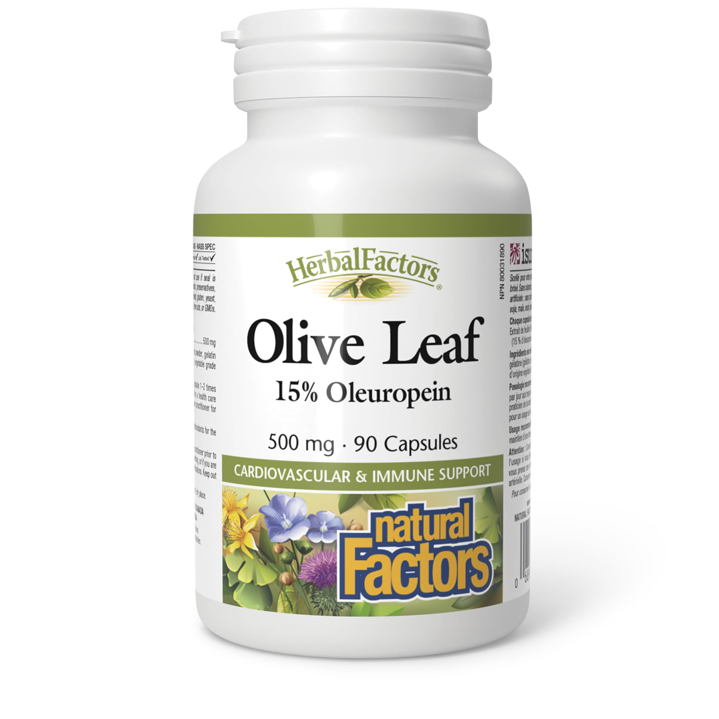 HerbalFactors by Natural Factors - Olive Leaf 500 mg | Natural Wellness Formula | 90 Capsules