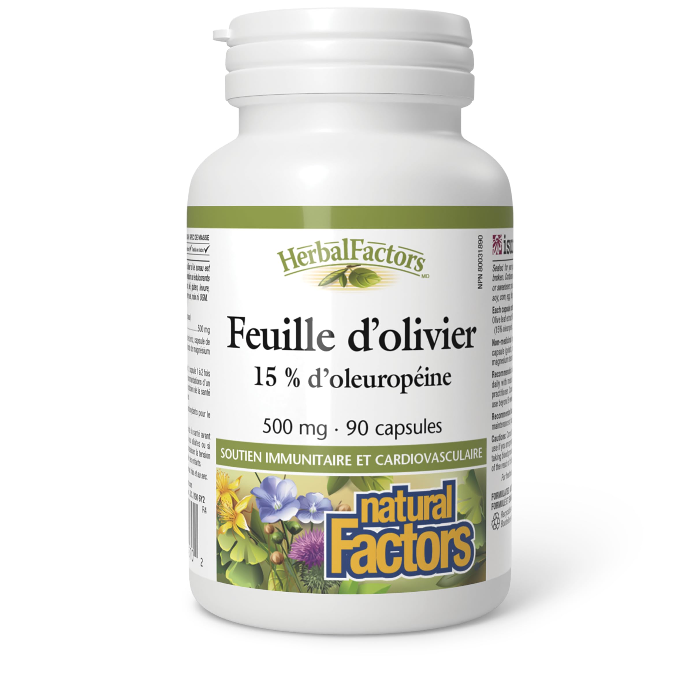 HerbalFactors by Natural Factors - Olive Leaf 500 mg | Natural Wellness Formula | 90 Capsules