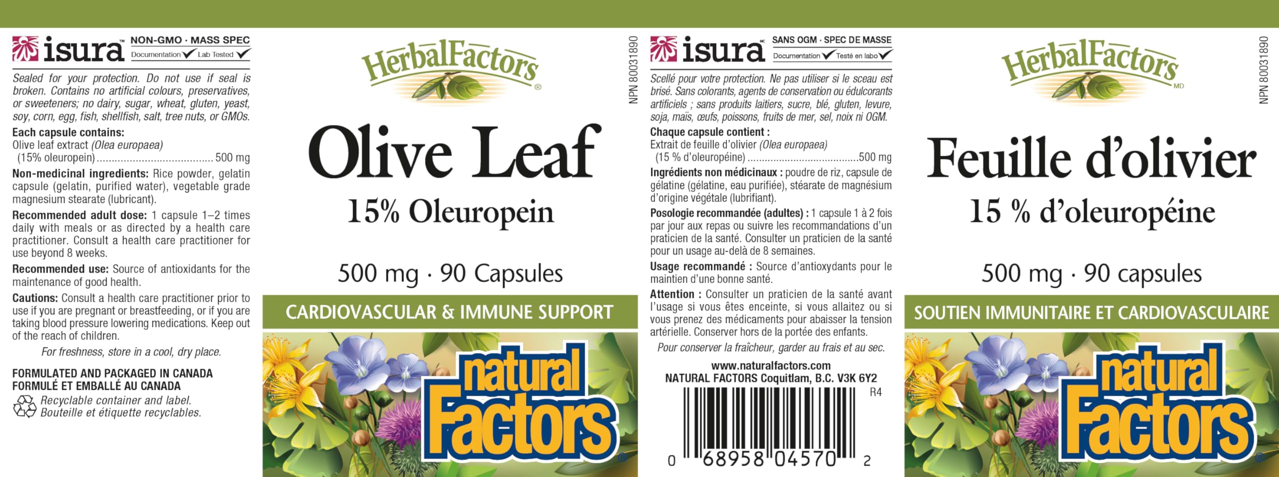 HerbalFactors by Natural Factors - Olive Leaf 500 mg | Natural Wellness Formula | 90 Capsules