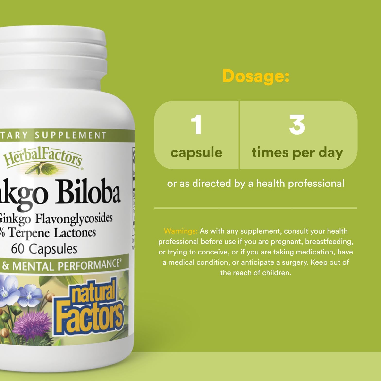 HerbalFactors by Natural Factors: Ginkgo Biloba for Memory & Brain Support – 60 Capsules