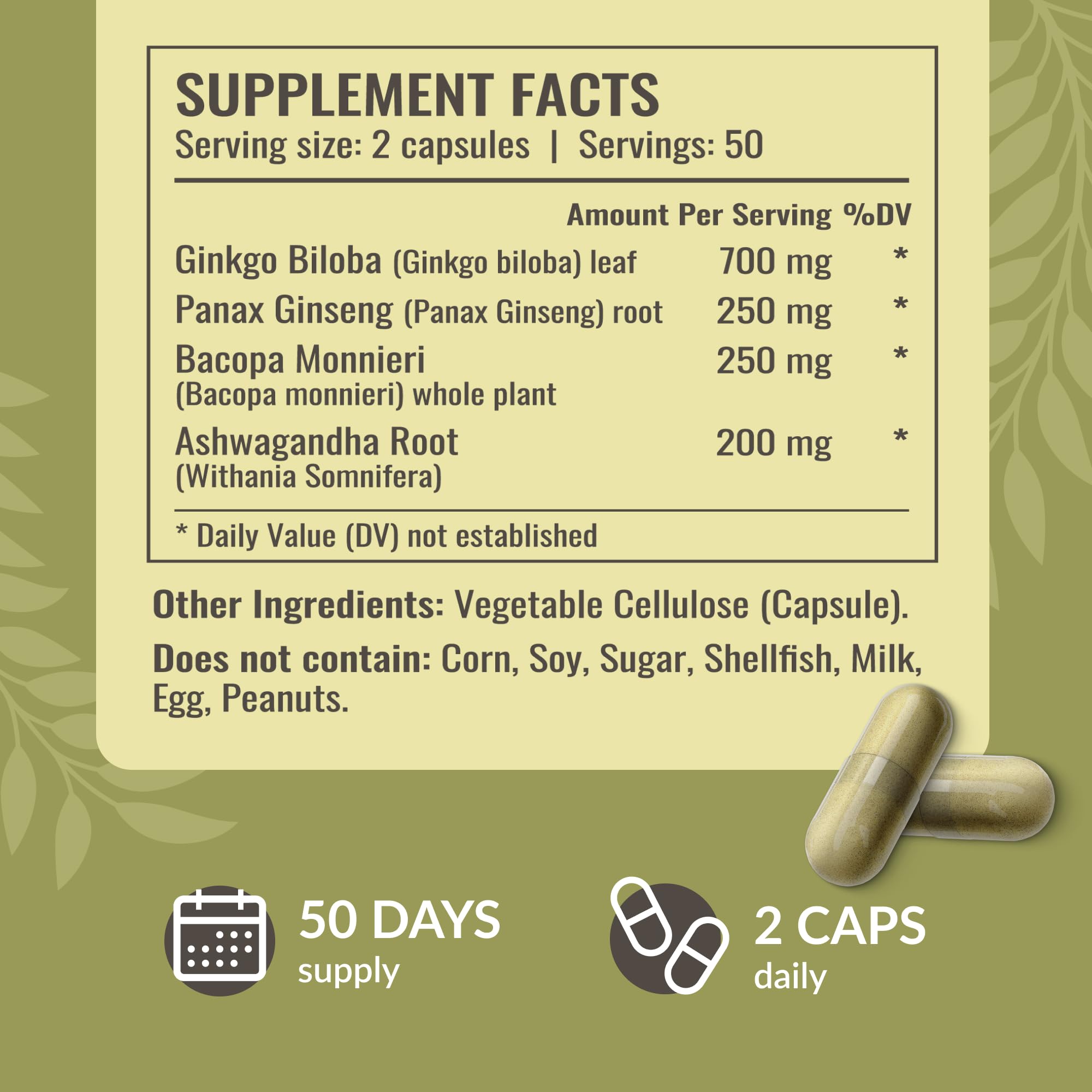 HERBAMAMA Brain Support Capsules – 1400mg Focus Supplement with Bacopa, Ginseng & Ginkgo | Vegan, Non-GMO, 100 Caps (Pack of 2)