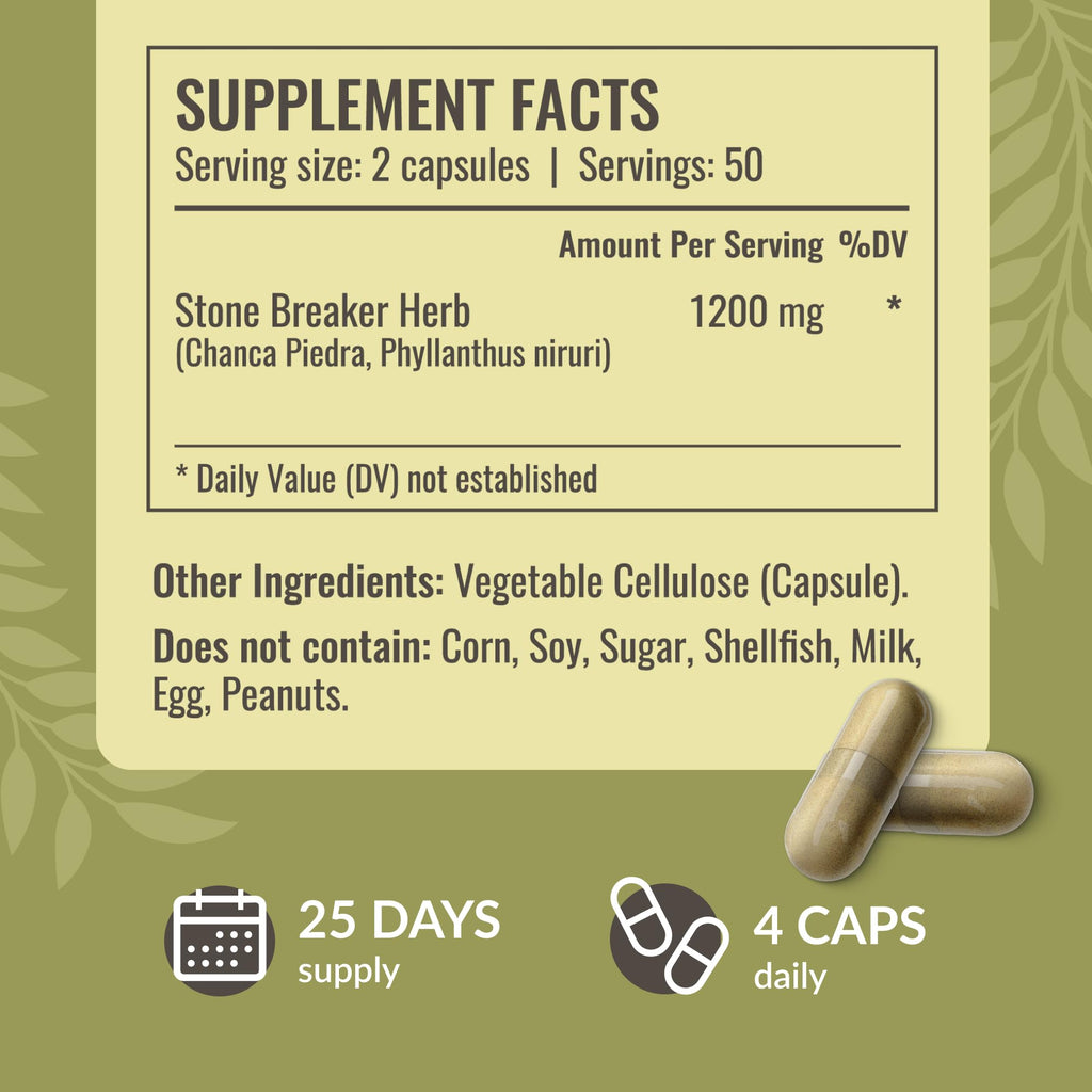 HERBAMAMA Chanca Piedra 1200mg – Kidney Stone Breaker, Gallbladder & Urinary Support (Pack of 2) – Vegan, Non-GMO
