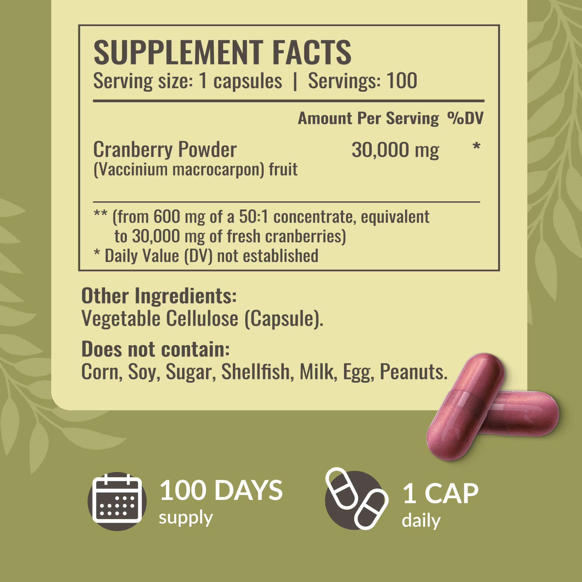 Herbamama Cranberry Extract Capsules – 30,000mg Cranberry Powder for Urinary Tract Support | Vegan, Non-GMO, 100 Caps (Pack of 2)
