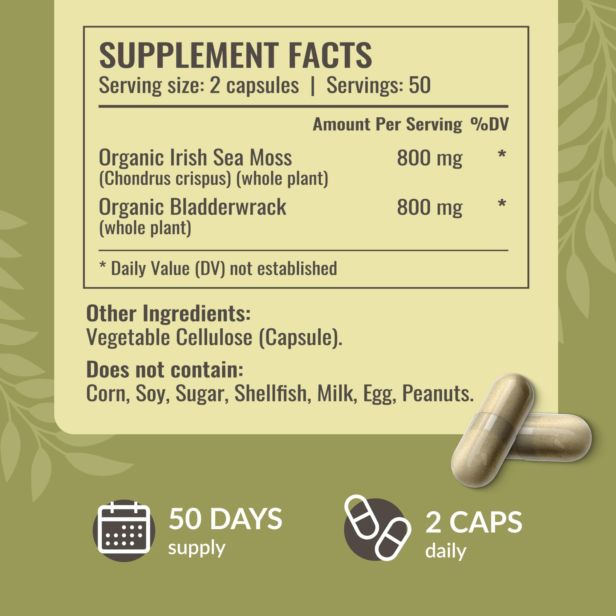 HERBAMAMA Sea Moss and Bladderwrack Capsules - 1600mg Irish Sea Moss for Immune Support - Vegan, Non-GMO Immunity Supplement for Overall Support