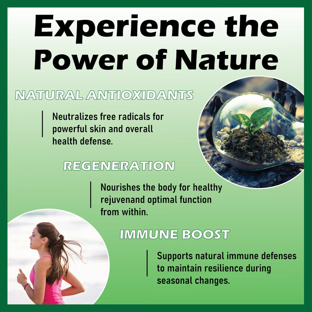 Herbavita Soursop Liquid Drops 10-in-1 | Sea Moss, Moringa, Turmeric & Black Seed Oil | Vegan, Non-GMO