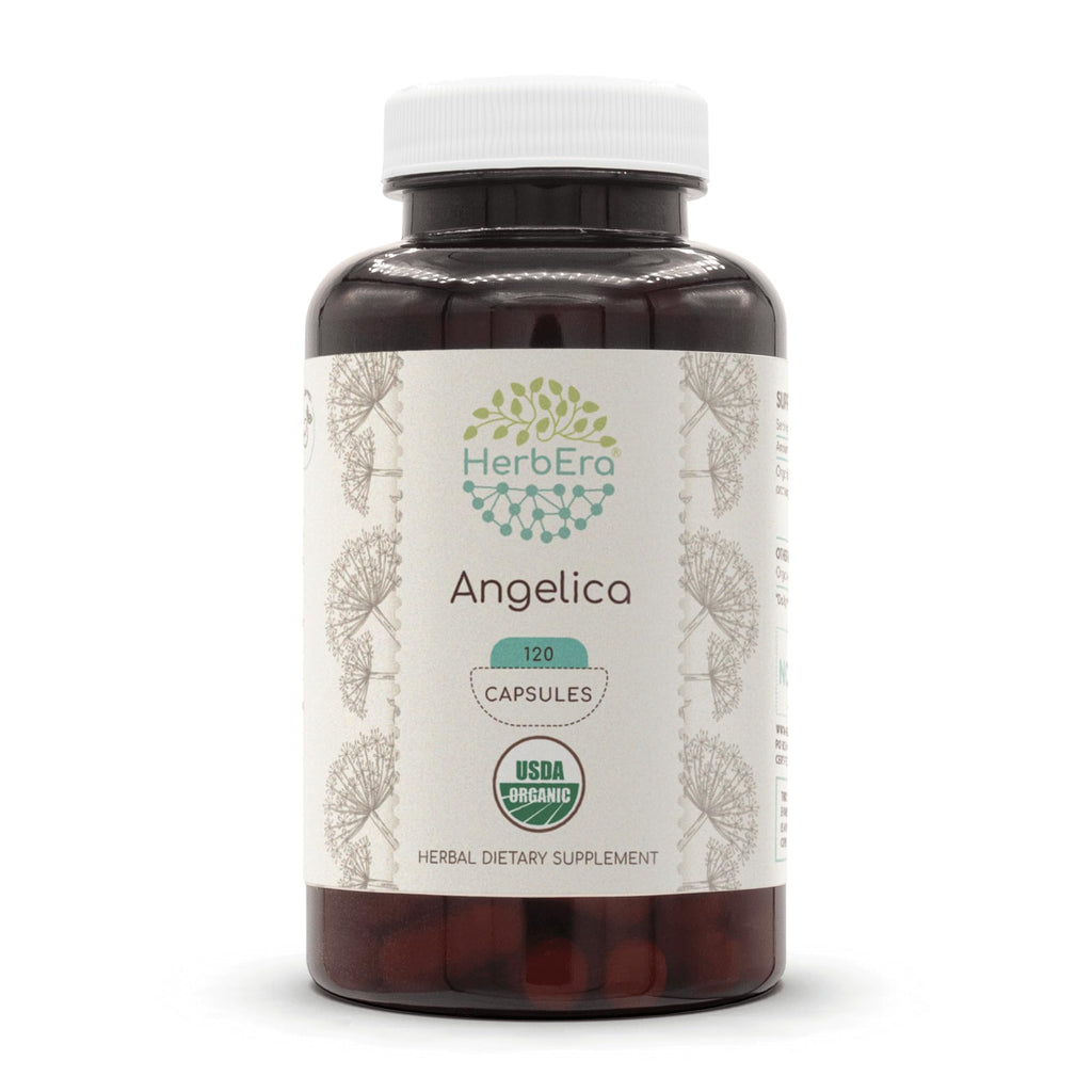 HerbEra Angelica USDA Organic 120 Capsules | Organic Angelica Root Supplement