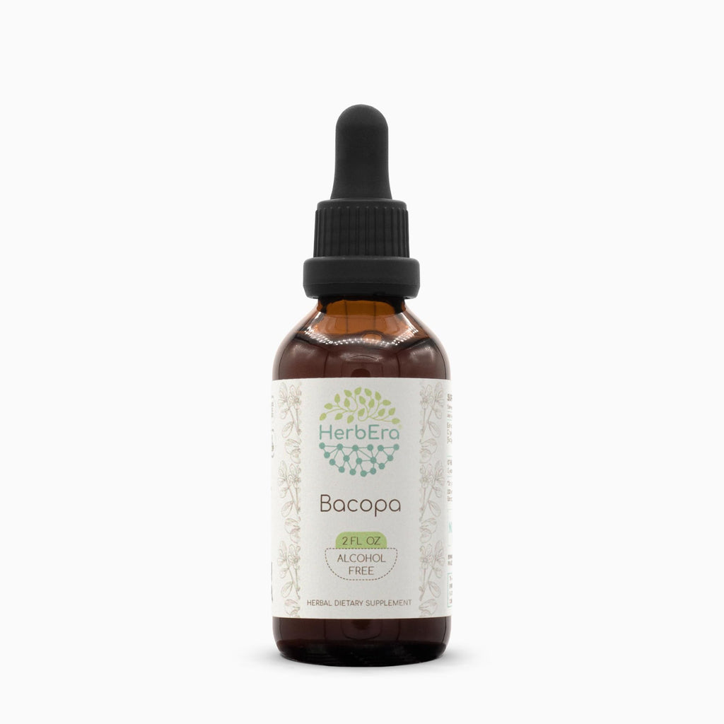HerbEra Bacopa B60 Alcohol-Free Herbal Extract Tincture - 2 fl oz | Bacopa Monnieri