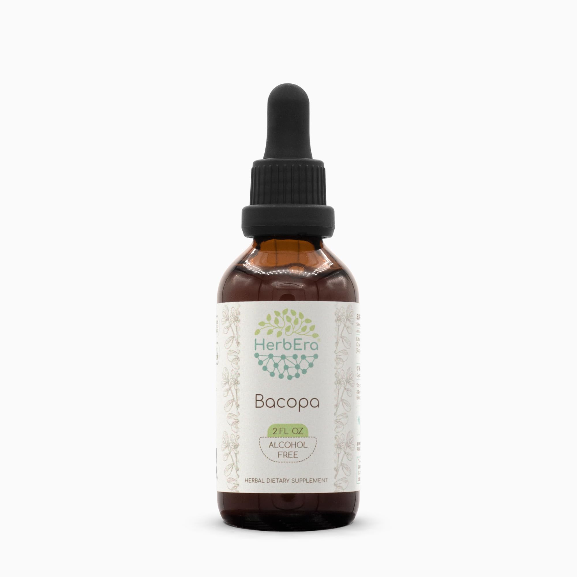 HerbEra Bacopa B60 Alcohol-Free Herbal Extract Tincture - 2 fl oz | Bacopa Monnieri