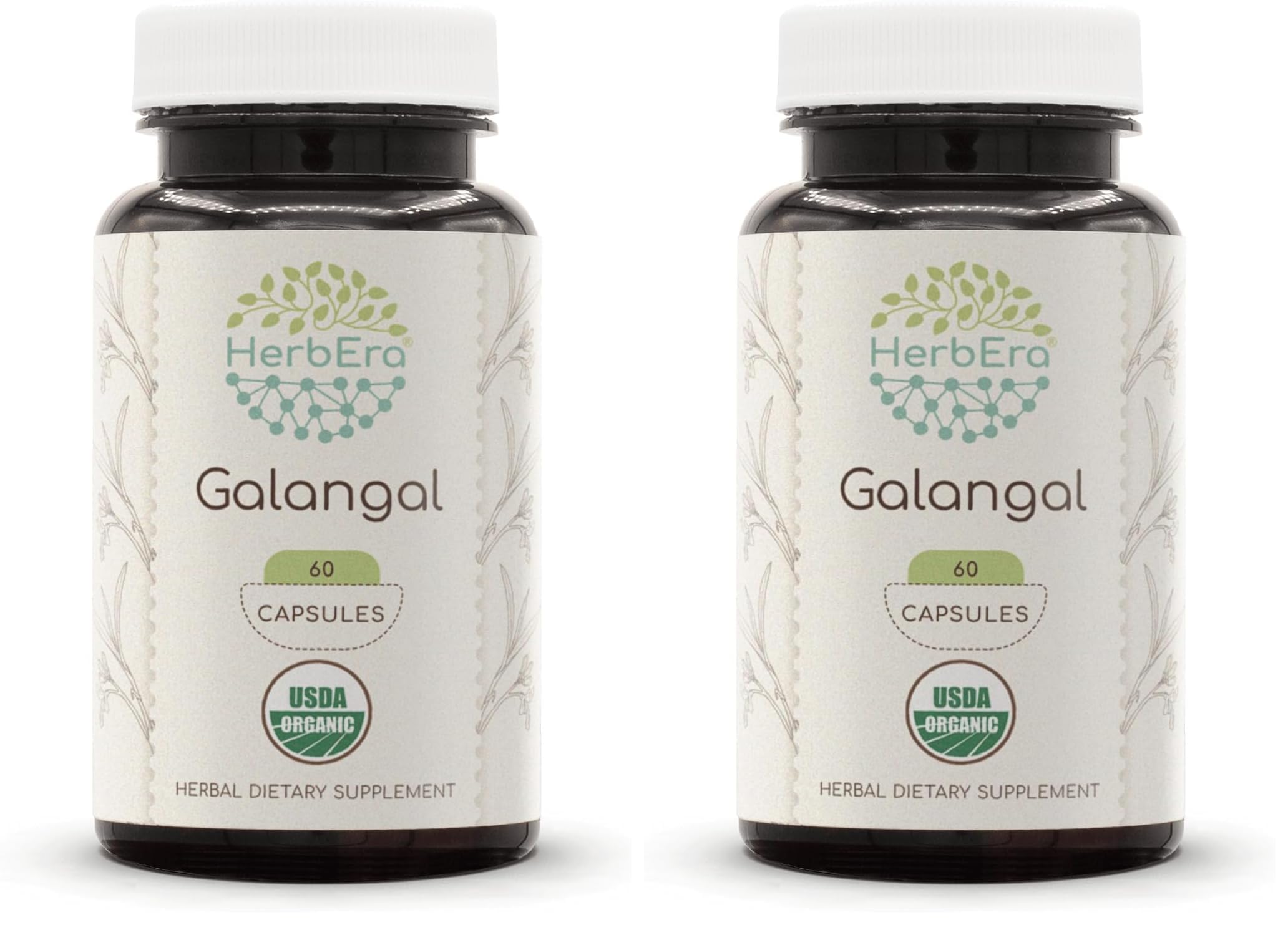 HerbEra Galangal 60 Capsules – 500 mg, USDA Organic Galangal (Alpinia Galangal) – Pack of 2