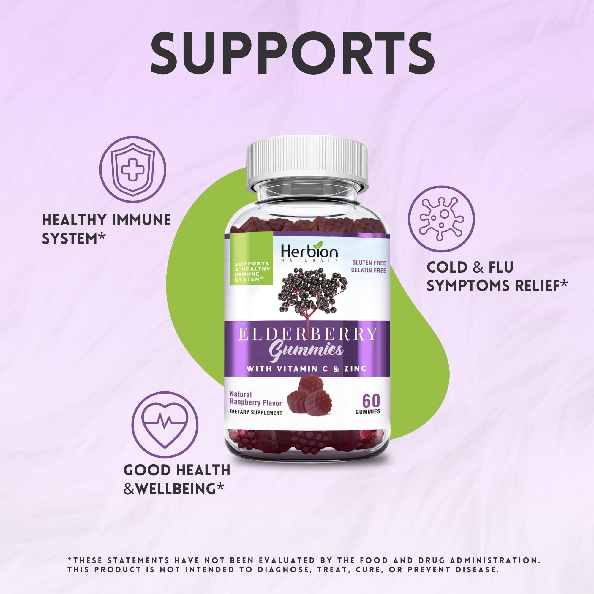 HERBION Elderberry Gummies with Vitamin C & Zinc | Immune Support, Gluten-Free & Gelatin-Free, 60 Gummies (USA Made)