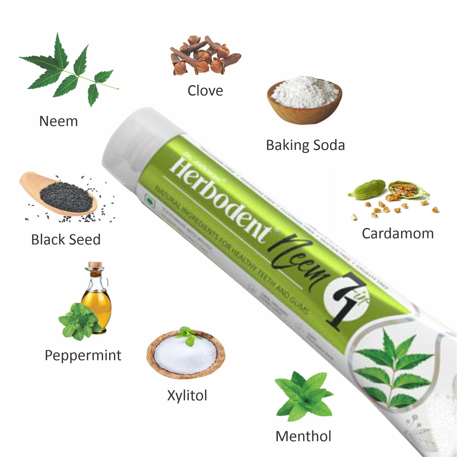 Herbodent Neem 7 in 1 Toothpaste – 6.53 oz (Pack of 6) | Organic Neem, Black Seed, Xylitol, Cardamom & Mint