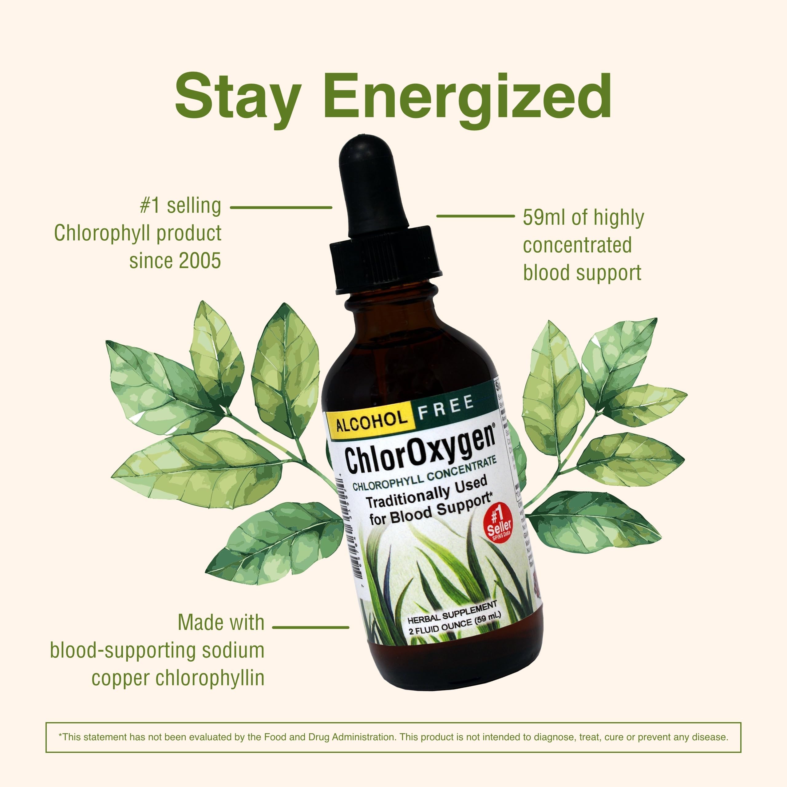 Herbs Etc. ChlorOxygen Chlorophyll Concentrate – High-Concentration Vitality Support (2 Pack, 2 fl oz)