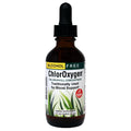 ChlorOxygen Chlorophyll Concentrate - Mint - Herbs Etc. - 2 fl oz