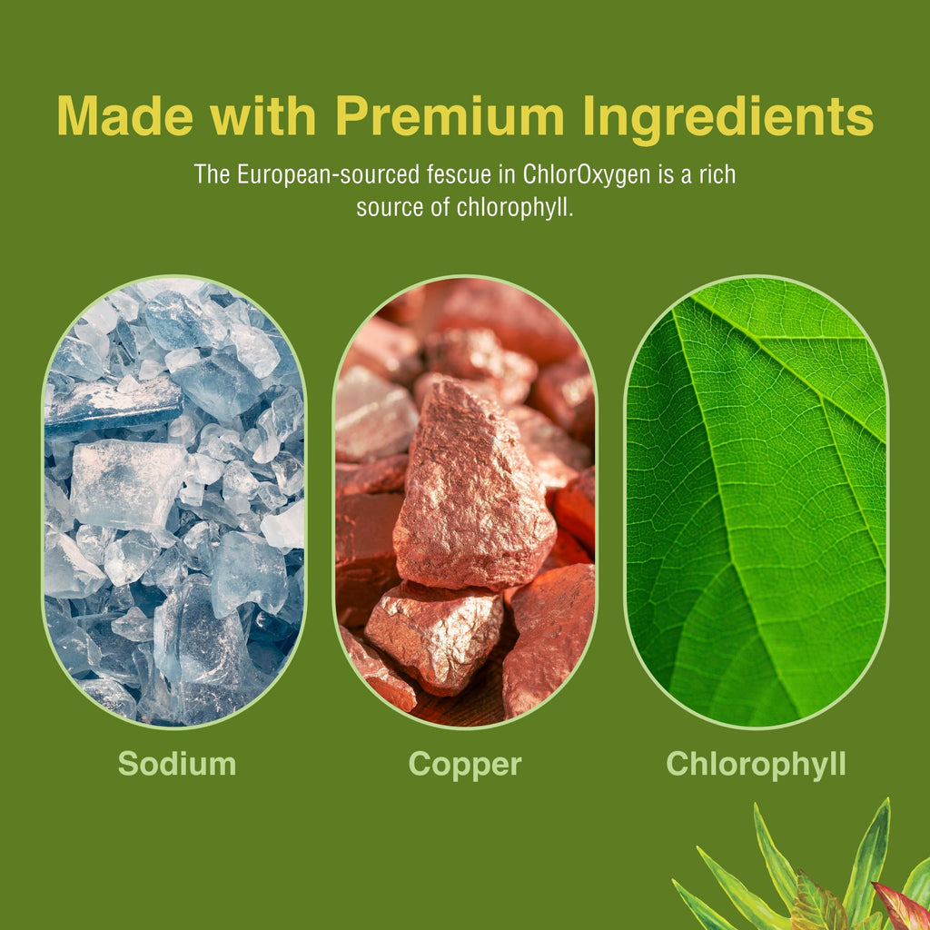 ChlorOxygen Chlorophyll Concentrate - Mint - Herbs Etc. - 2 fl oz