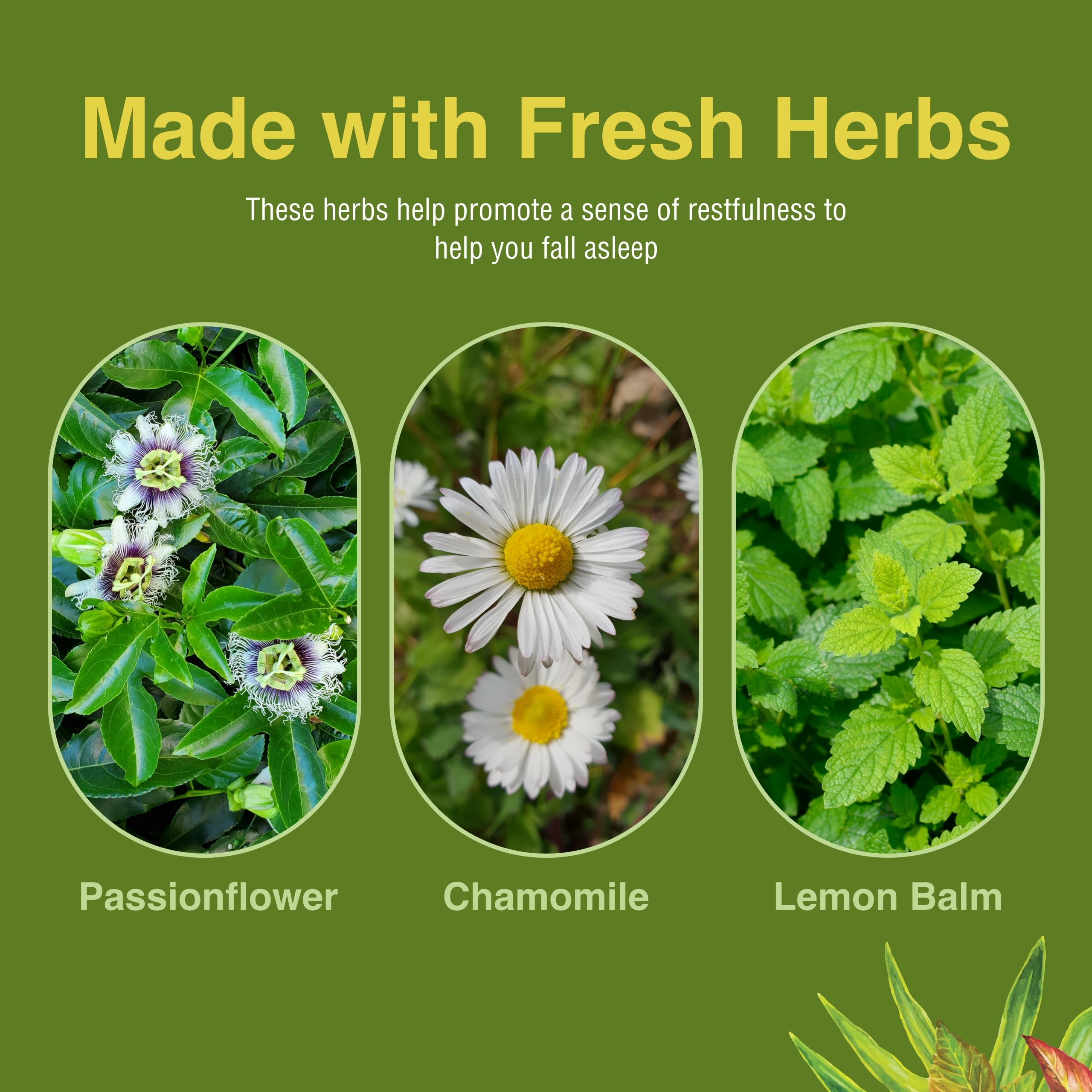 Herbs Etc. Deep Sleep Softgels – Herbal Sleep Support with Passionflower, Chamomile & Lemon Balm (60 Softgels)