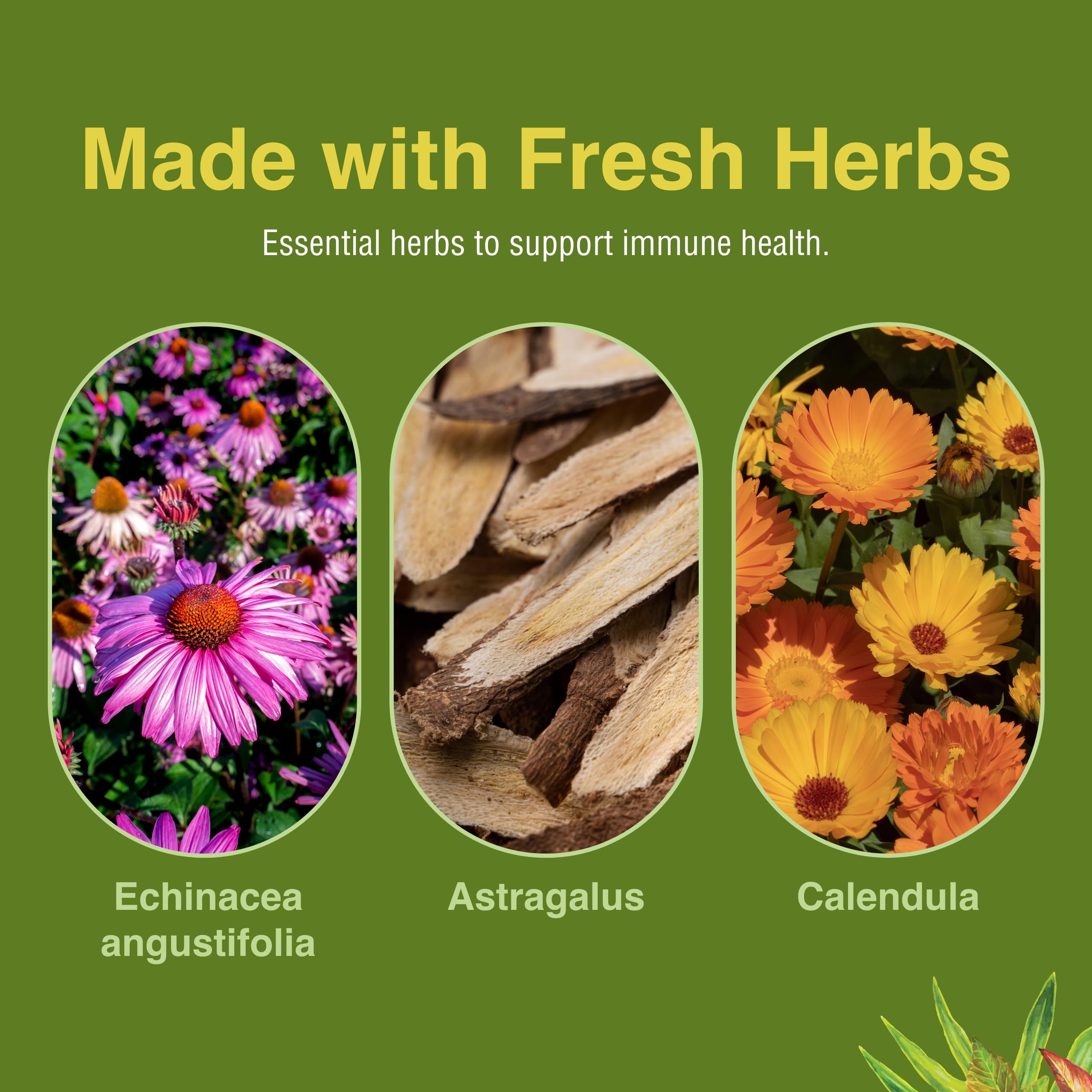 Herbs Etc. Immunoboost - Immune Support Herbal Supplement (Gluten-Free) 60 Softgels