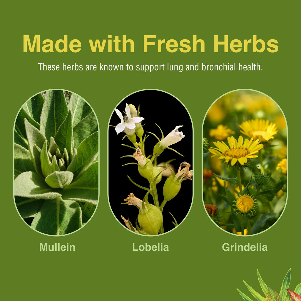 Herbs Etc. Lung Tonic - Lung & Respiratory Support - 60 Softgels