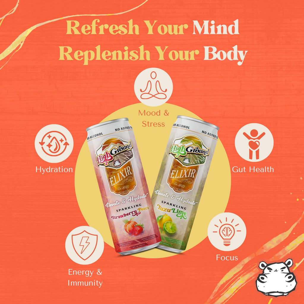 High Ground Elixir Mushroom Seltzer Variety Pack – Focus & Stress Adaptogens