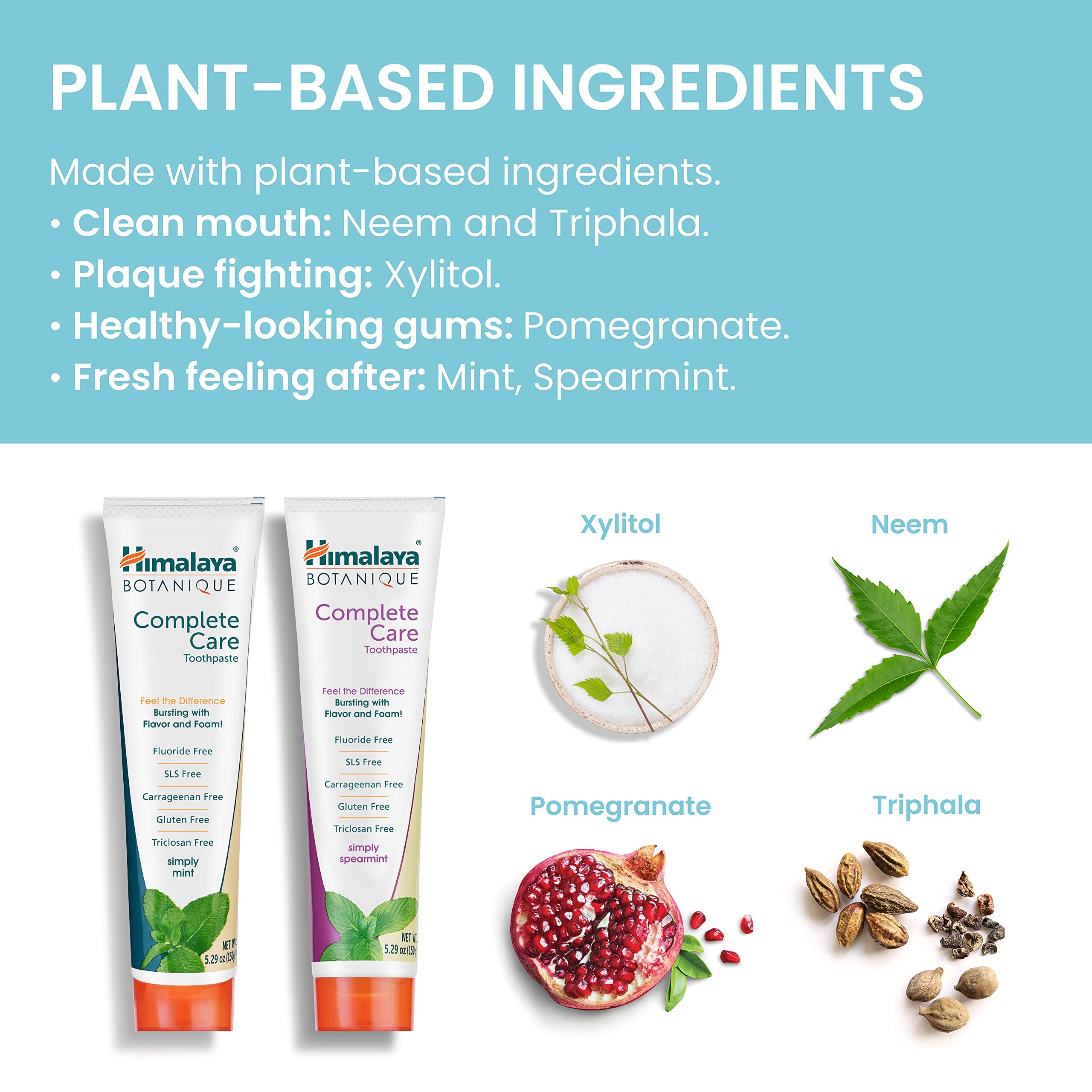 Himalaya Botanique Complete Care Toothpaste – Herbal Mint, Fluoride Free, 5.29 oz