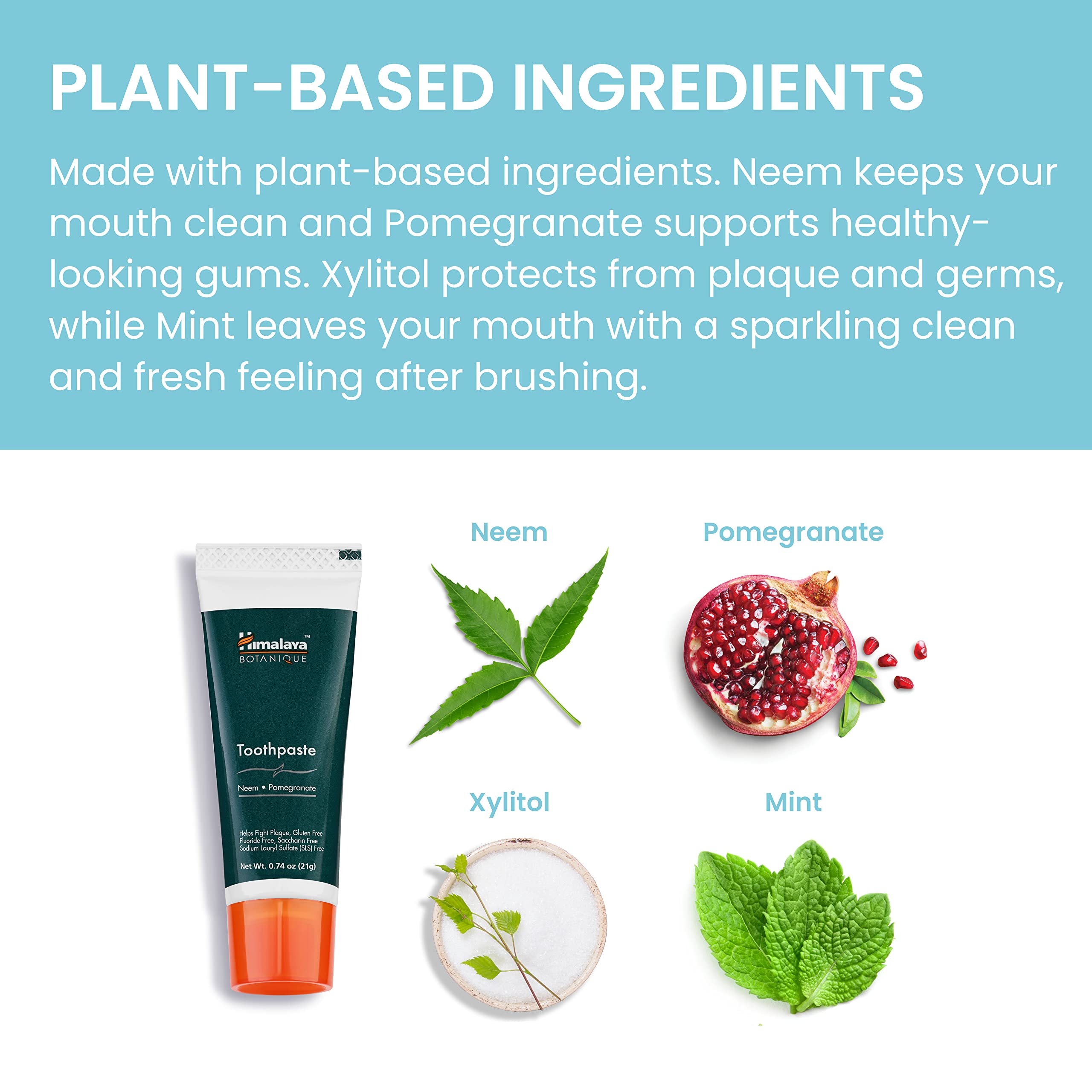 Himalaya Botanique Neem & Pomegranate Travel Toothpaste - Mint, Fluoride Free, 0.74 oz, Pack of 10