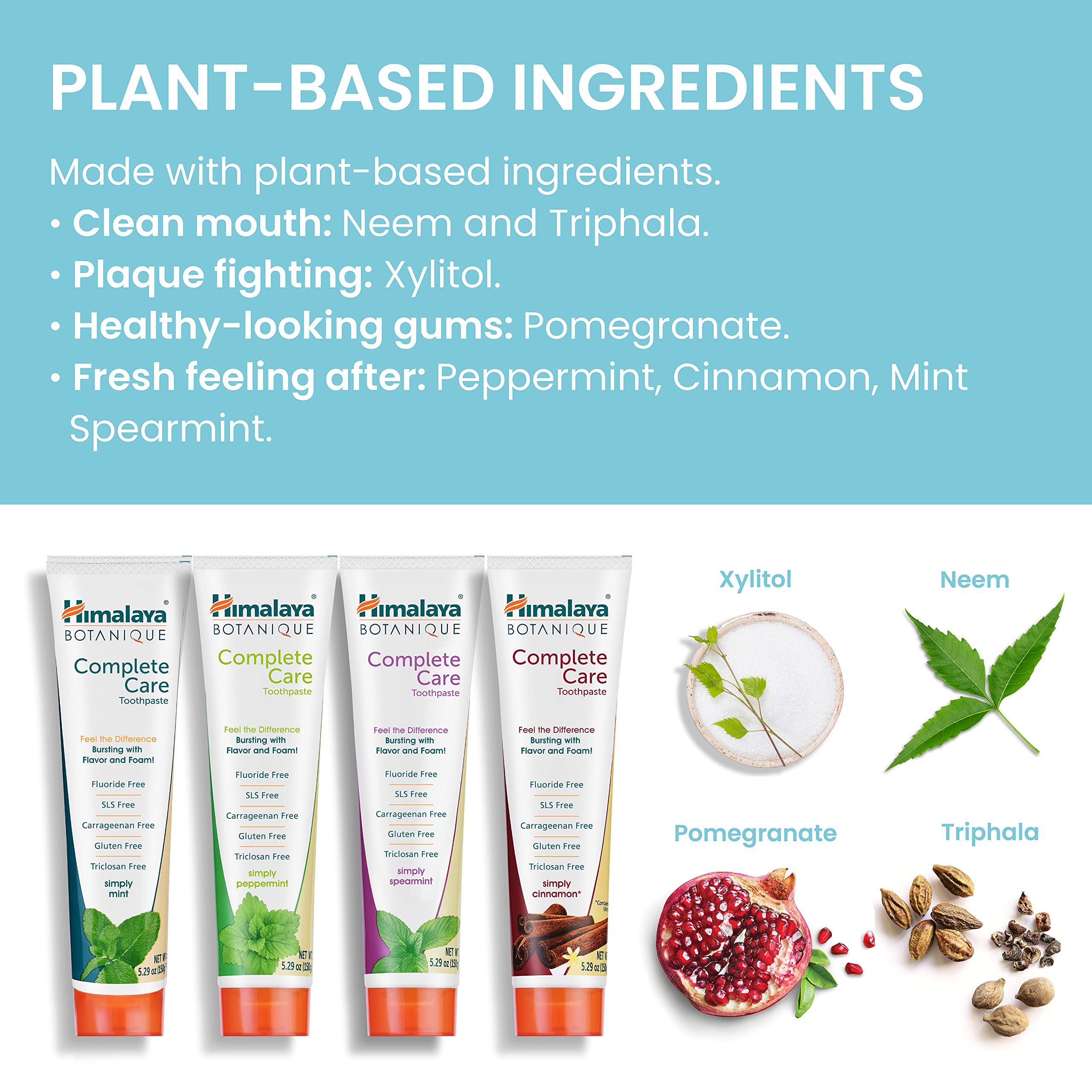 Himalaya Botanique Complete Care Toothpaste – Herbal 4-Pack, Fluoride Free, SLS Free