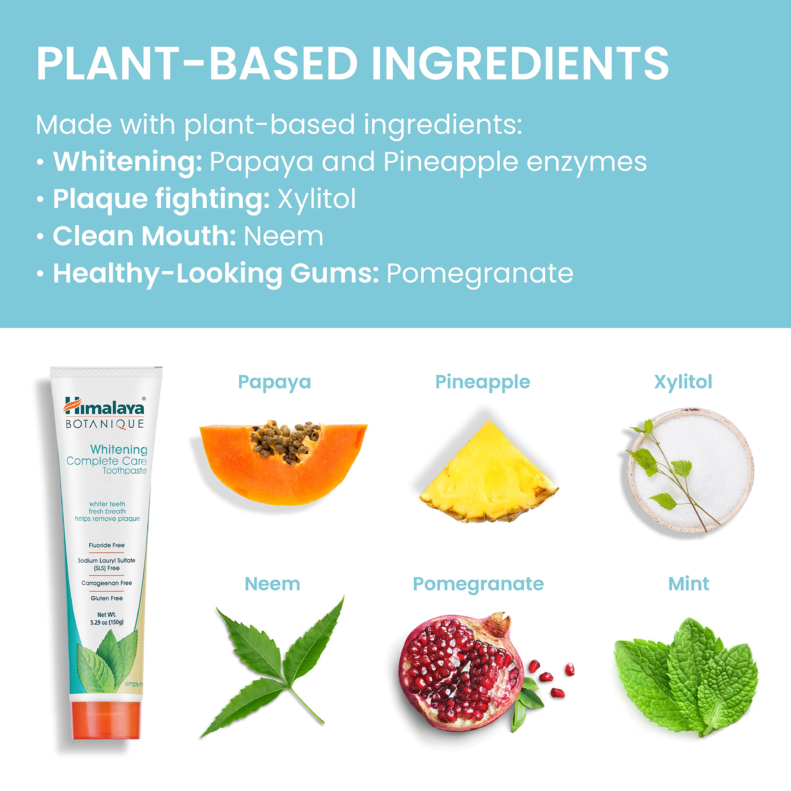 Himalaya Botanique Whitening Toothpaste – Fluoride Free, Mint, 4 Pack