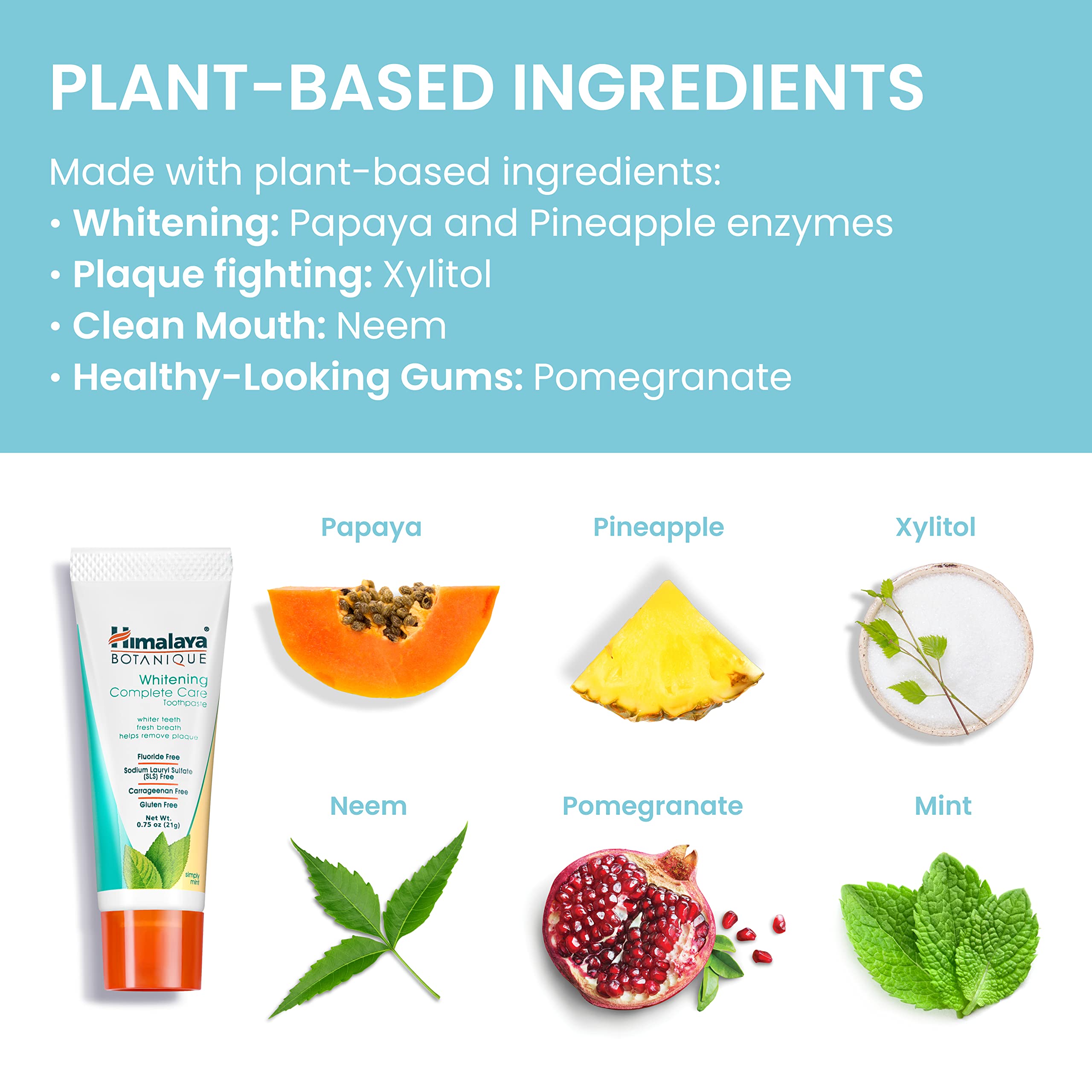 Himalaya Botanique Whitening Complete Care Travel Toothpaste – Mint, Fluoride Free, Vegan (0.74 oz x10)