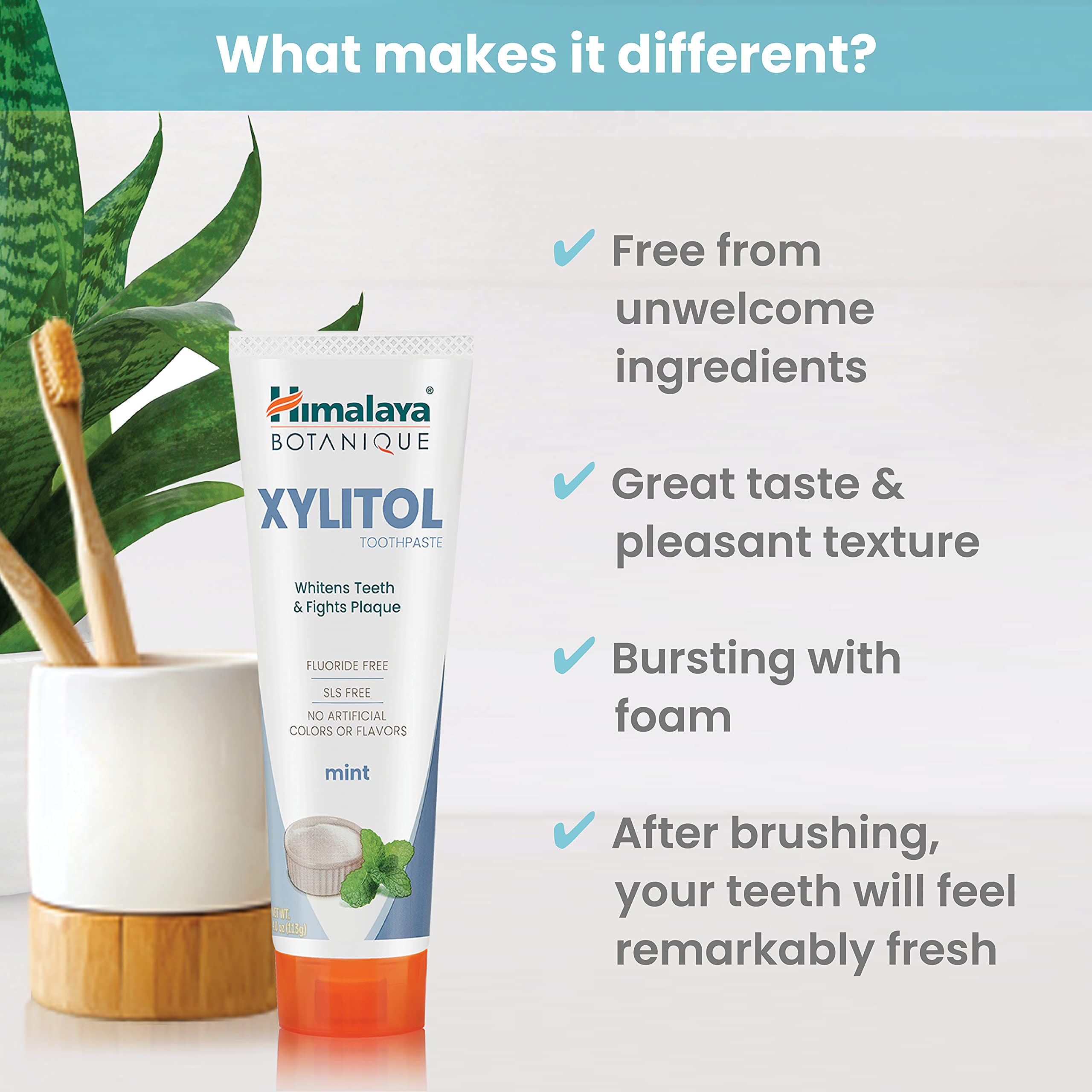 Himalaya Botanique Xylitol Toothpaste - Mint, Fluoride Free, Vegan & Gluten Free | 4 oz