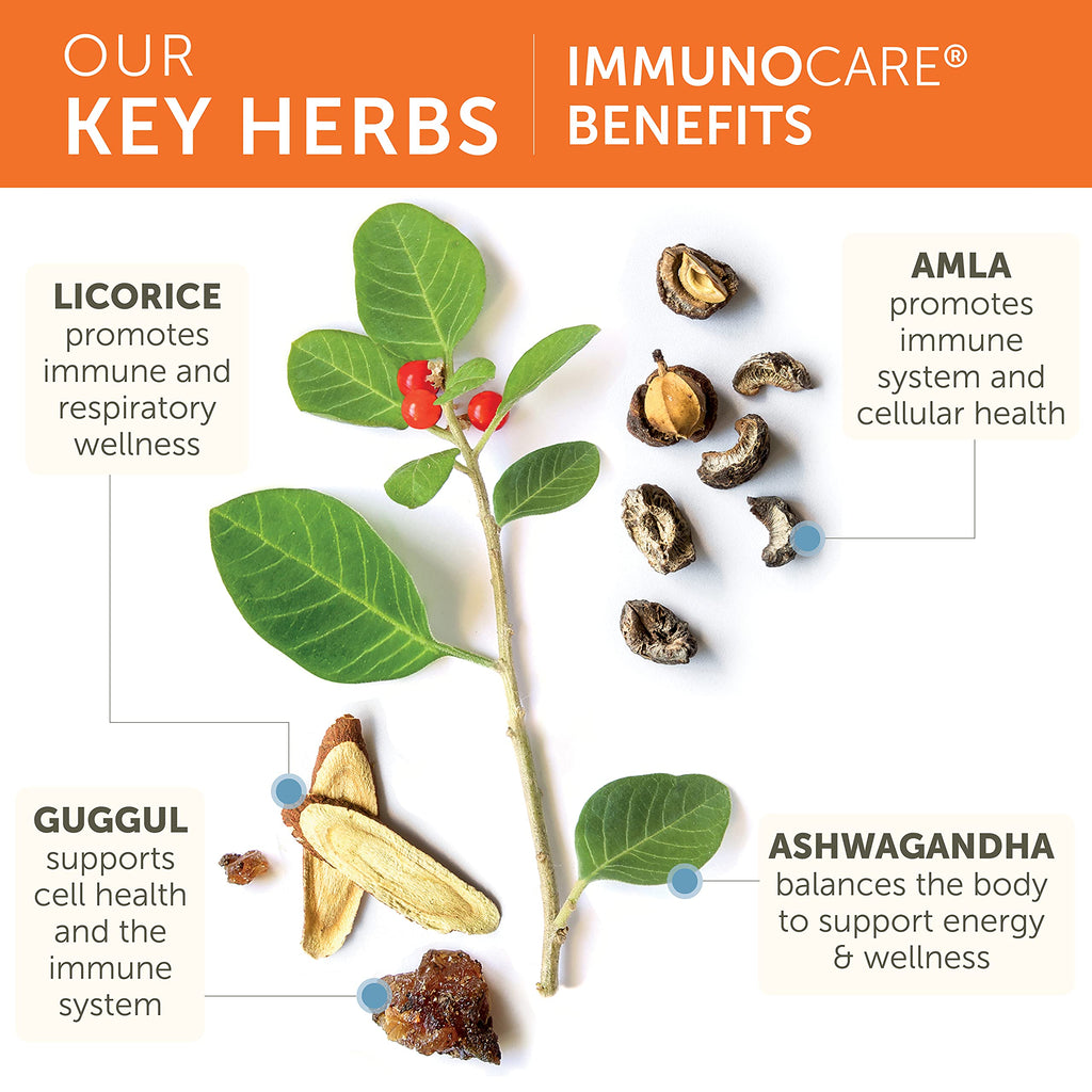 Himalaya ImmunoCare 60 Day Supply – Herbal Immune Support (Ashwagandha & Amla) | Vegan