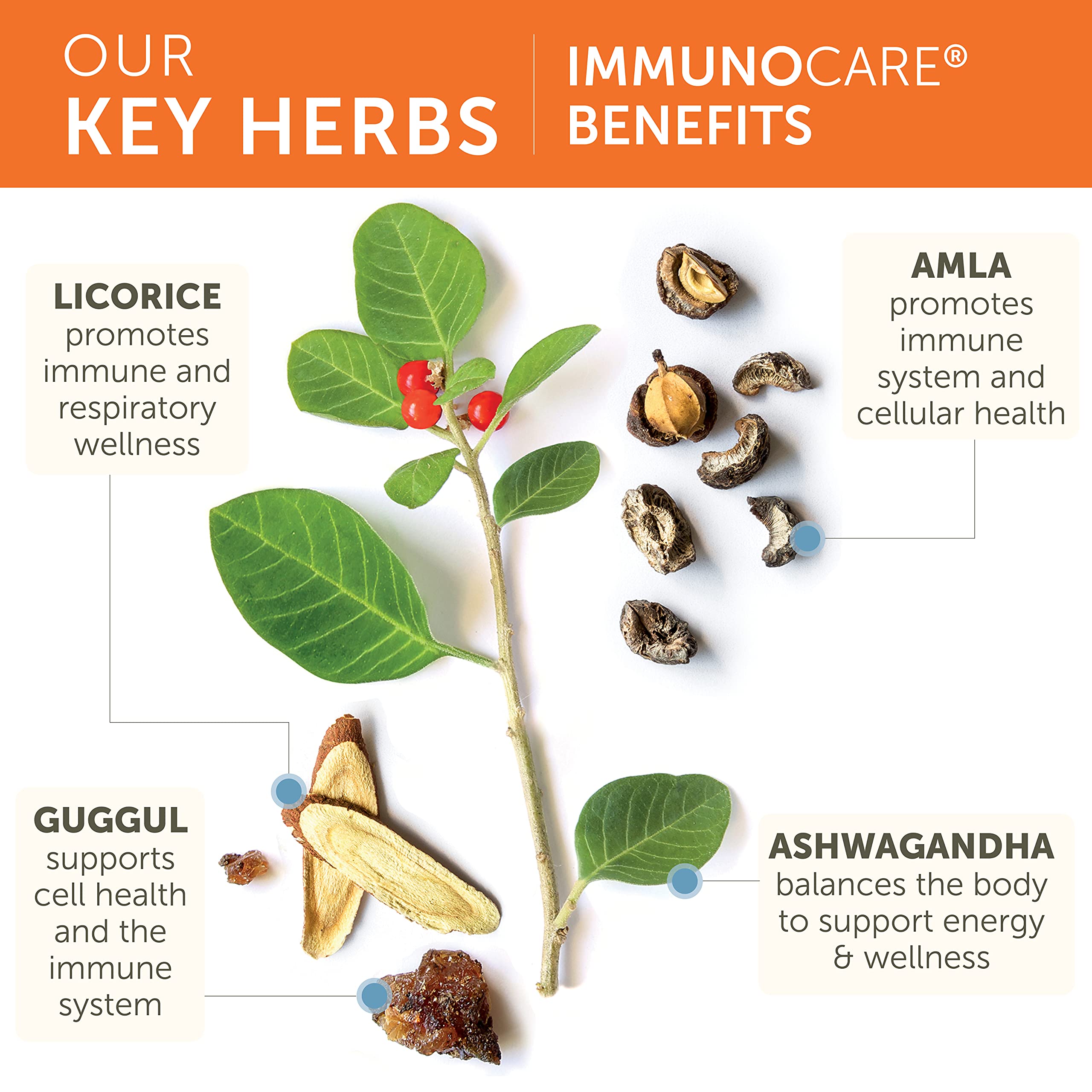 Himalaya ImmunoCare 60 Day Supply – Herbal Immune Support (Ashwagandha & Amla) | Vegan