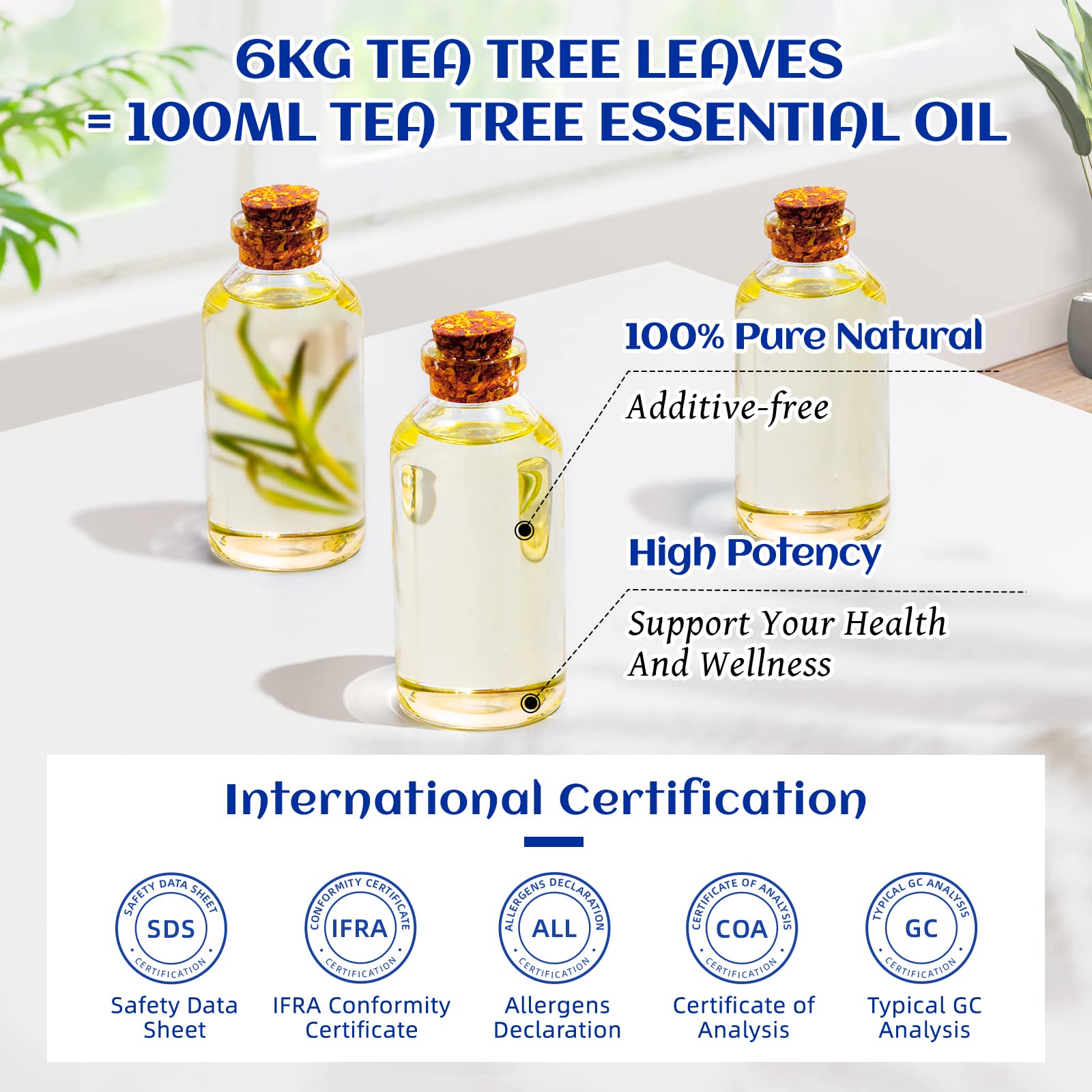 HIQILI Tea Tree Oil for Skin & Hair – 3.38 Fl Oz | Shampoos, Body Wash & Foot Soak
