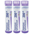 Boiron Histaminum Hydrochloricum 200Ck – Homeopathic Allergy Medicine (Pack of 3, 240 Pellets)