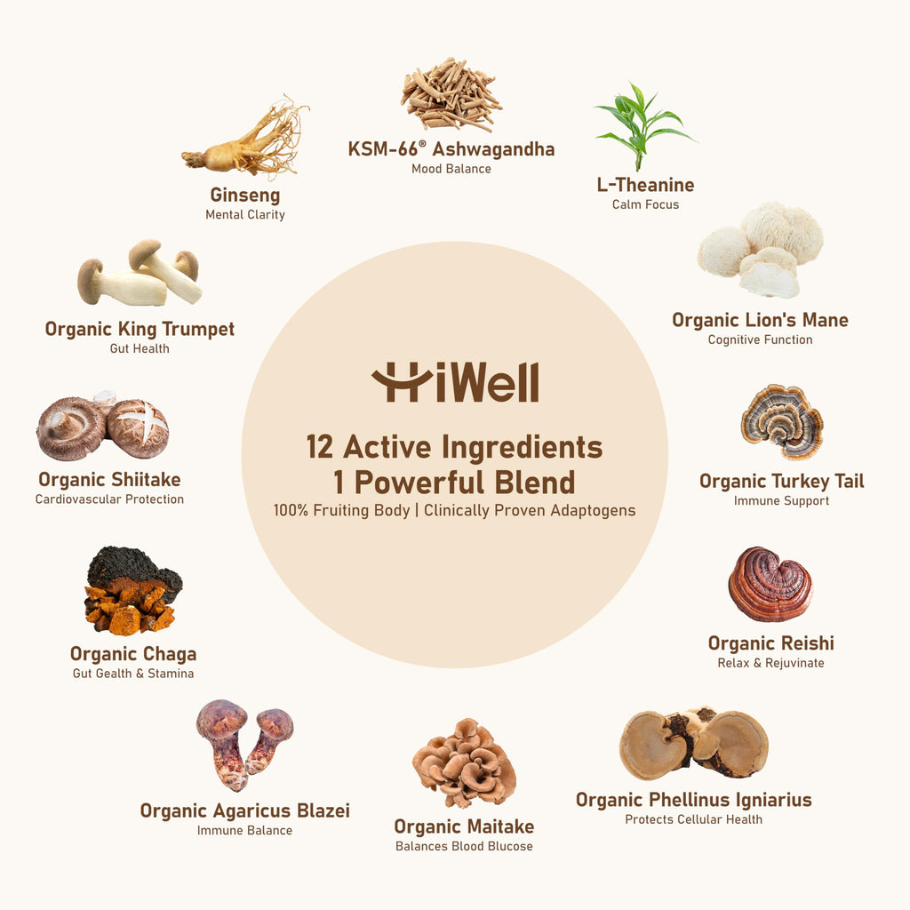 HiWell 12-in-1 Mushroom Coffee - Organic Ginseng, Lion's Mane, Low Caffeine