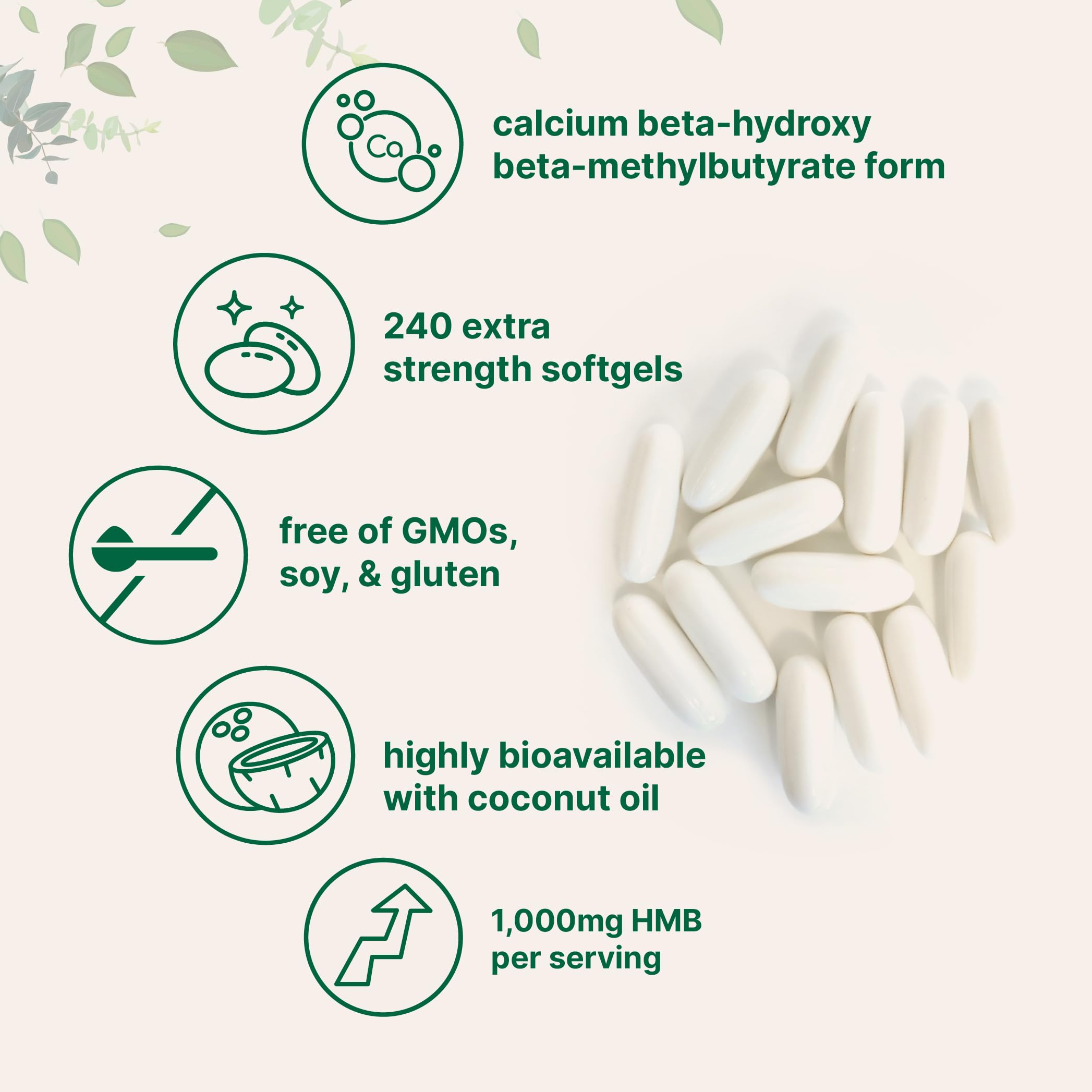 HMB 1,000mg | 240 Softgels with Coconut Oil | Highly Bioavailable | HMB Supplements for Men & Women