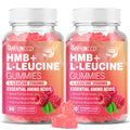 2 Pack HMB + L-Leucine Gummies – 3000mg for Muscle Growth & Recovery, Sugar-Free Raspberry, 120 Count