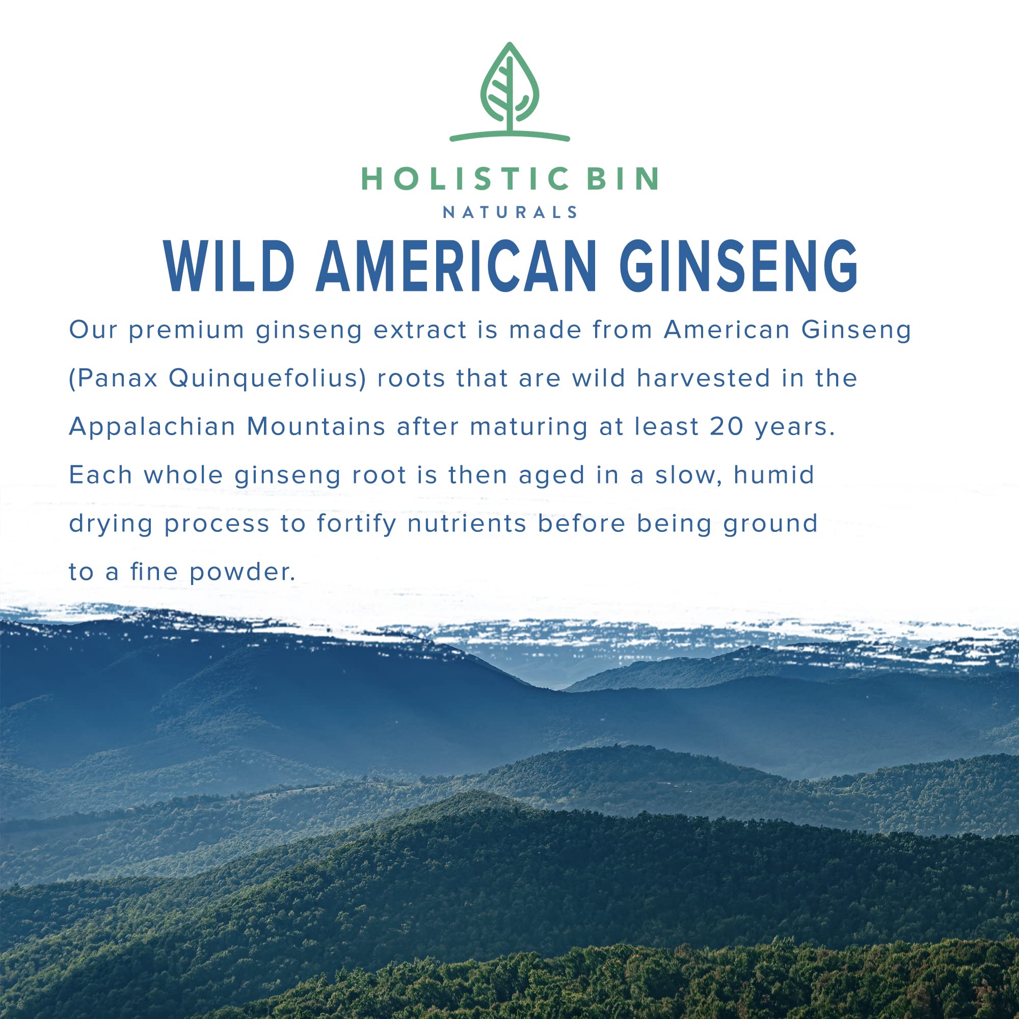 Holistic Bin Wild American Ginseng Powder – Pure Organic Ginseng (20+ Year Roots) 25g