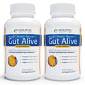 Holistic Health Labs Gut Alive – Zinc-Carnosine Digestive Support (60 Count, Pack of 2)