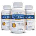 Holistic Health Labs Gut Alive: All-Natural Support for IBS, Heartburn & Digestive Comfort (60 Count, Pack of 3)