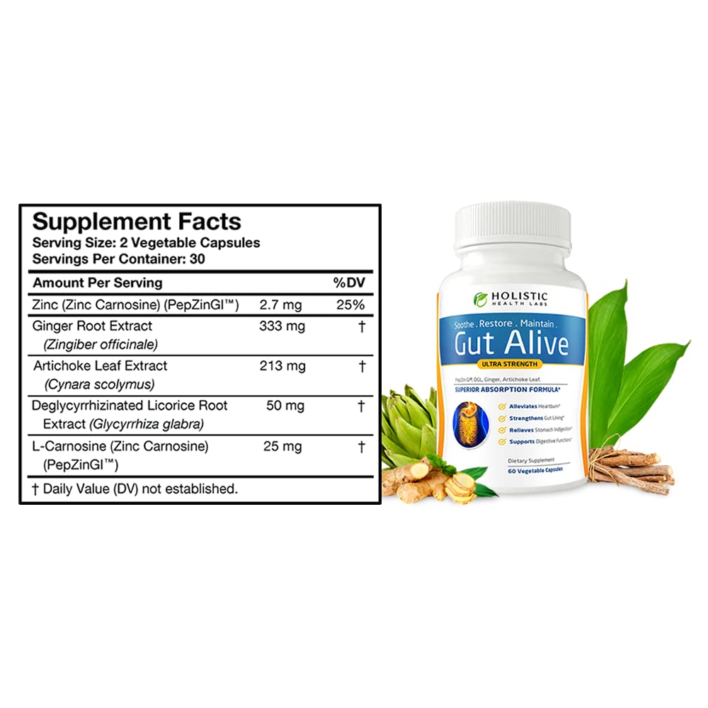 Holistic Health Labs Gut Alive – Zinc-Carnosine Digestive Support (60 Count, Pack of 2)