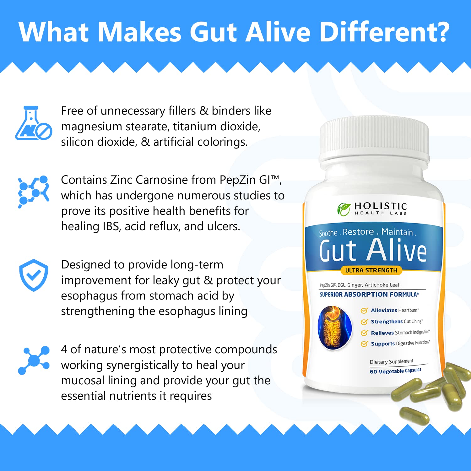 Holistic Health Labs Gut Alive – Zinc-Carnosine Digestive Support (60 Count, Pack of 2)