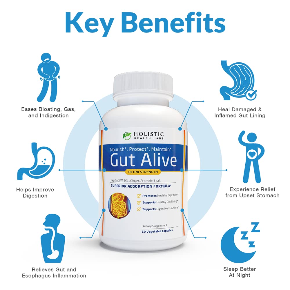 Holistic Health Labs Gut Alive – Zinc-Carnosine Digestive Support (60 Count, Pack of 2)
