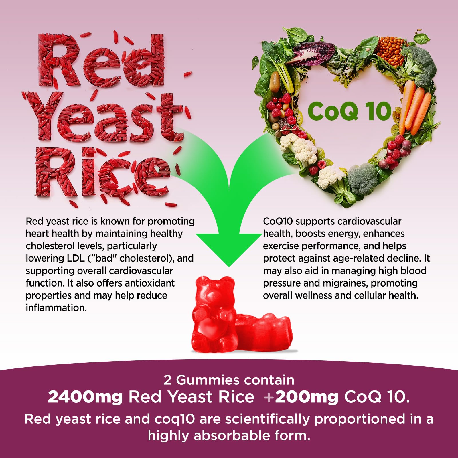 Hollgend Red Yeast Rice with CoQ10 Gummies - Sugar Free, Organic 2400mg Red Yeast Rice + 200mg CoQ10, 60 Chewables
