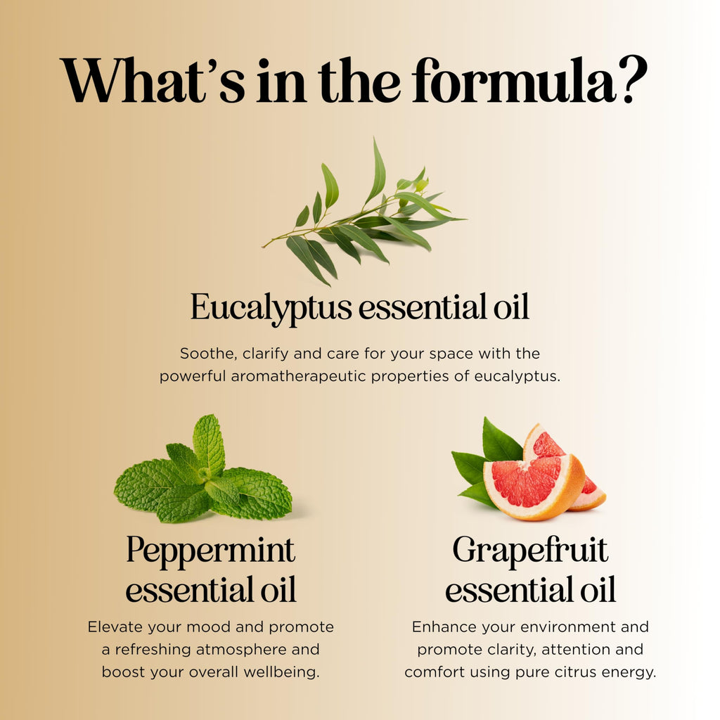 Focus Essential Oil Blend for Diffusers – Energizing Aromatherapy (Grapefruit, Bergamot, Peppermint & Eucalyptus) 2 oz